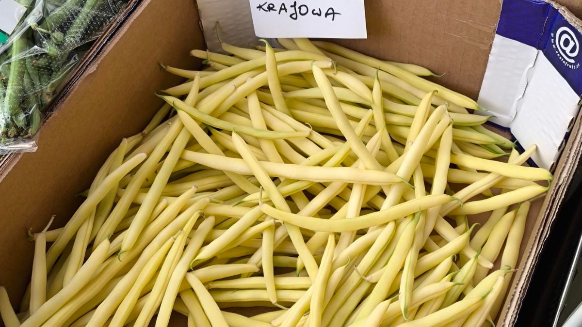 Cena fasolki szparagowej- Pyszności