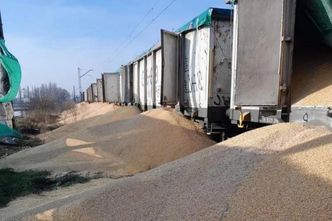 Zboże wysypywane na granicy. "Wymknęło się spod kontroli. Trzeba szybko nad tym zapanować"