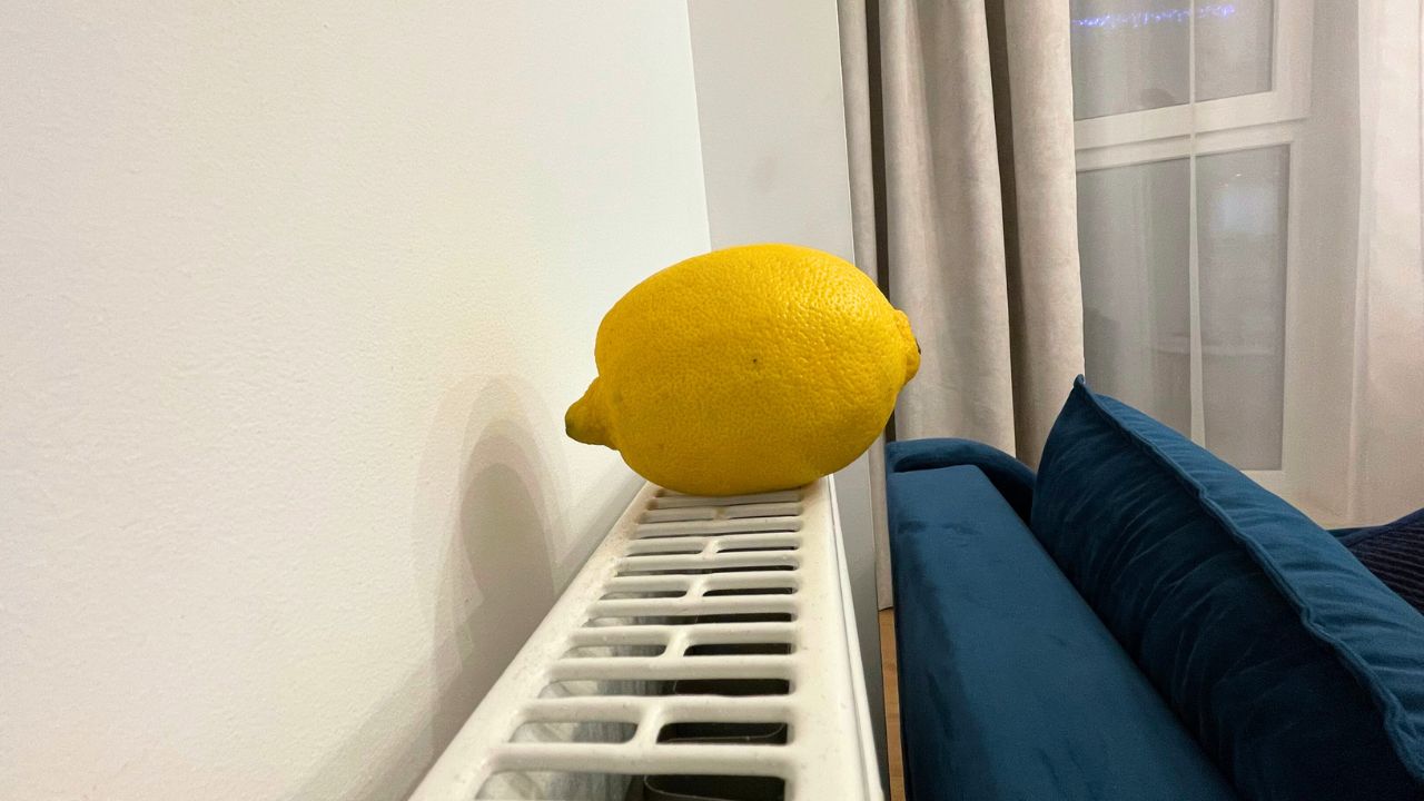 Cytryna położona na kaloryferze 