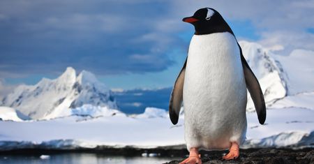 Hakerski Linux w oficjalnym sklepie Windows, ale antywirus działać mu nie daje