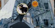 "Był przestraszony". Pies sparaliżował warszawskie metro