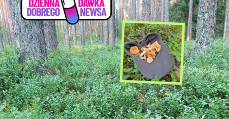"Idealny czas". To znaleźli wśród traw. Leśnicy chwalą się zbiorami