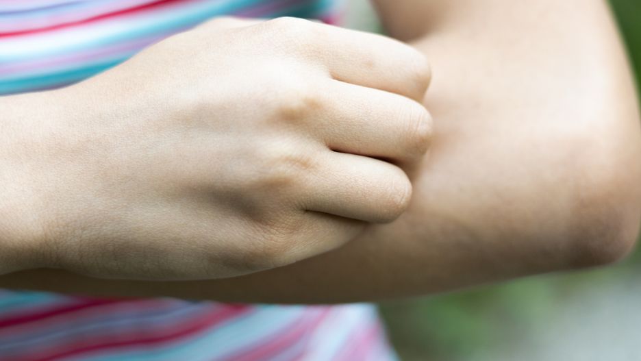 Niektóre kolory przyciągają kleszcze i komary 