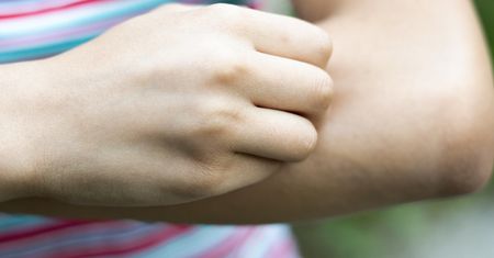 Te kolory przyciągają kleszcze. Unikaj ich jak ognia
