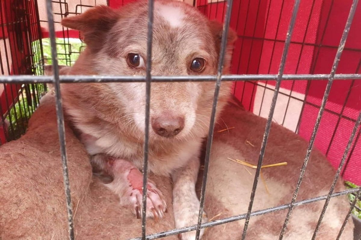 Skandal na Mazurach. Małżeństwo pod Giżycka w rękach prokuratury