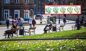 Nadciąga z Hiszpanii do Polski. Zacznie się 26 lutego