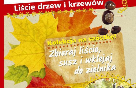 Burda wydaje magazyn „Mój Zielnik” dla dzieci i młodzieży szkolnej