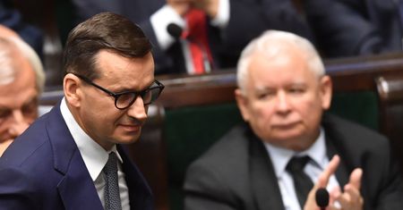 Nowy pomysł PiS. W sieci wrze