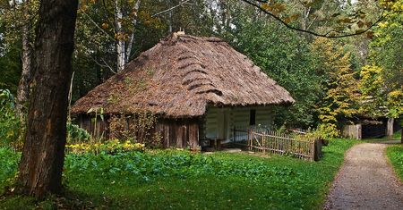 Polskie powiedzenia i przysłowia. Umiesz je dokończyć?