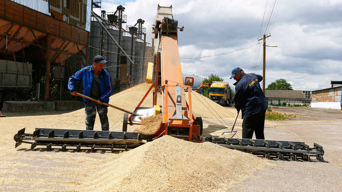 UE chce zniesienia embargo na ukraińskie produkty rolne
