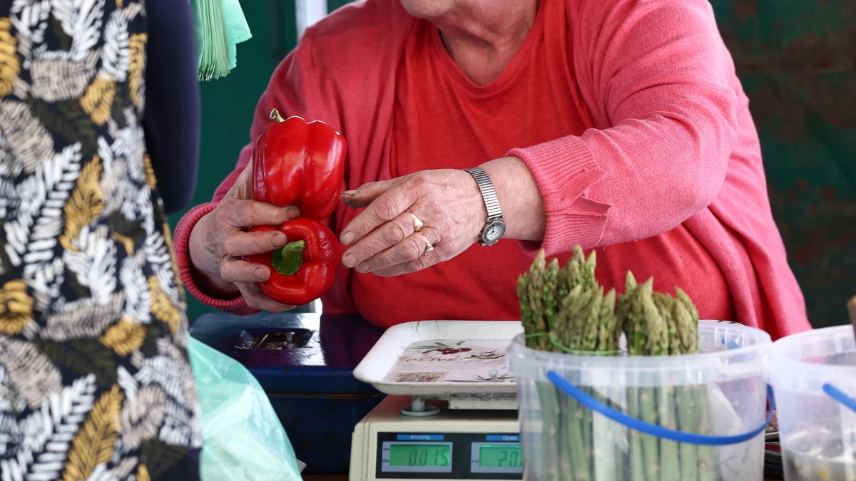 Ceny papryki w tym roku zniechęcają plantatorów do zbioru