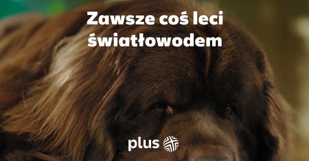 Plus rusza z nową kampanią o światłowodzie