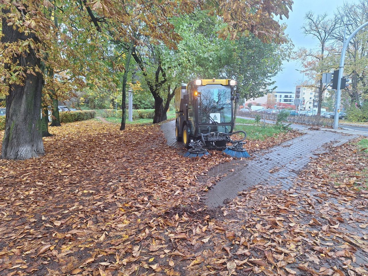 Toruń: Niebezpiecznie na chodniku przy Grudziądzkiej. Porządkami zajęła się "pszczotka"