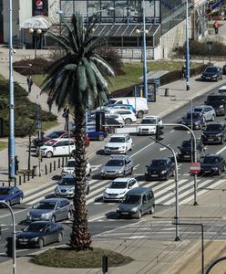 Warszawa. W sobotę palma na rondzie de Gaulle’a kończy 18 lat. Apel o życzenia