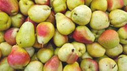 Gruszki regenerują od środka. Szczególnie lubią je jelita