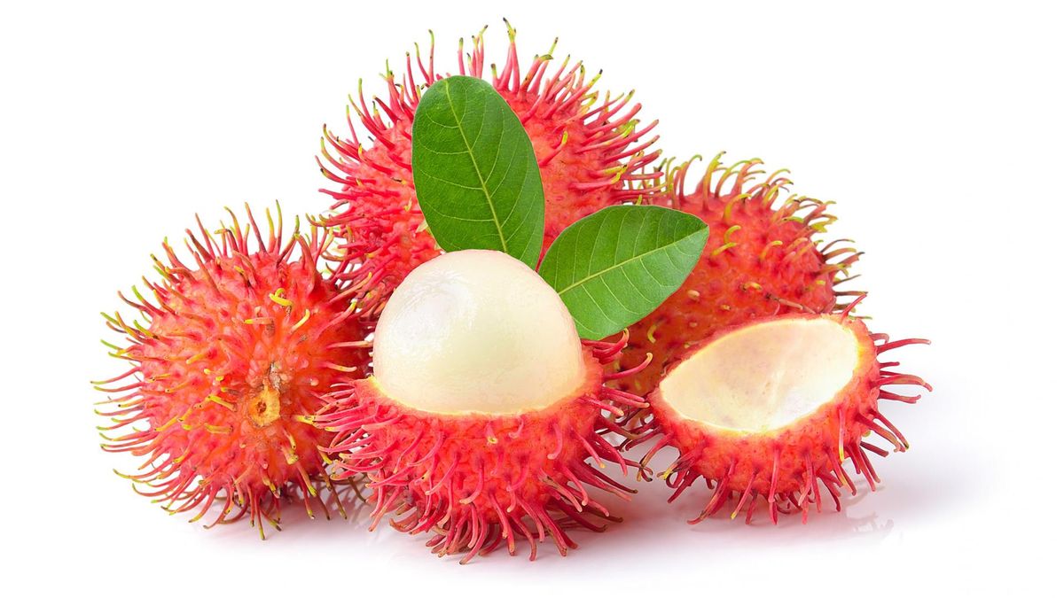 Jagodzian rambutan jest egzotycznym drzewem, które rośnie głównie w Malezji, Chinach i Indonezji, ale można go spotkać w całej tropikalnej części Azji.