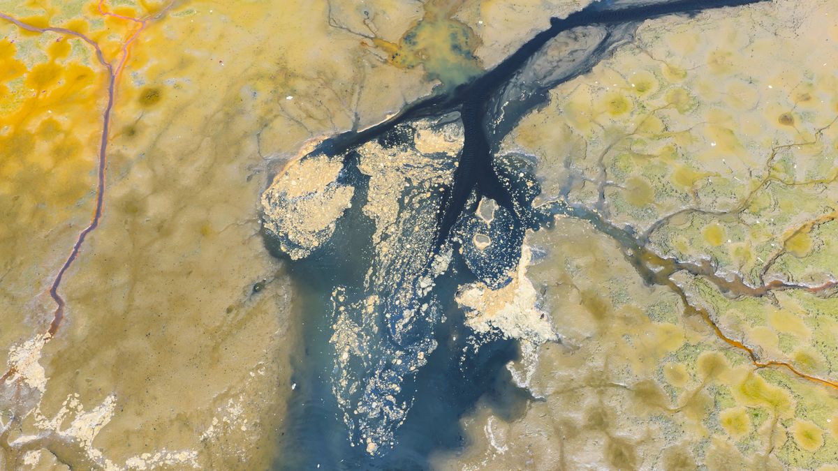 Jezioro i cała jego okolica są ekstremalnie skażone