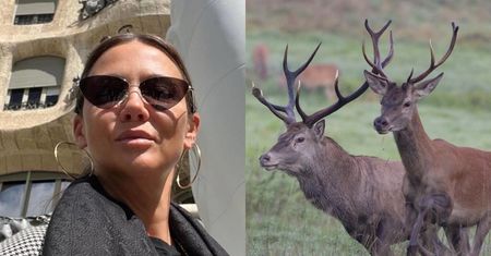 Kinga Rusin idzie na wojnę z myśliwymi i odpowiada na zarzuty: "ZABIJAJĄ dla rozrywki! To czyste okrucieństwo"