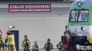 Warszawa: Szynobus uderzył w krowę. Zablokowany ruch pociągów.