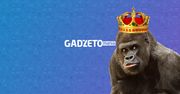 Rekordowa liczba czytelników i fanów Gadżetomanii. Dziękujemy!
