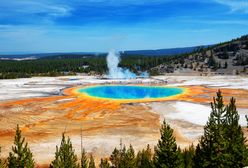 Tragedia w parku Yellowstone. Kobieta wskoczyła do gorącego źródła