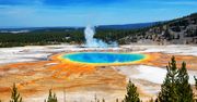 Tragedia w parku Yellowstone. Kobieta wskoczyła do gorącego źródła