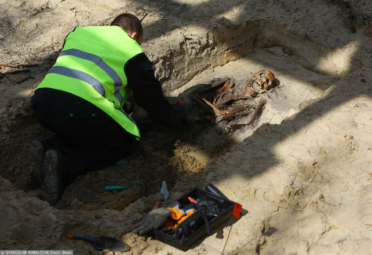 Prace ekshumacyjne odkryły szczątki czterech niemieckich żołnierzy
