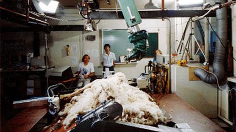 Czy owce śnią o elektrycznych fryzjerach? (wideo) 1