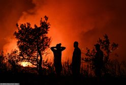 "Globalne wrzenie". ONZ potwierdza katastrofalne dane z lipca 2023