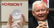 Rząd po cichu zmienia prawo: tabletki "dzień po" znów TYLKO NA RECEPTĘ!