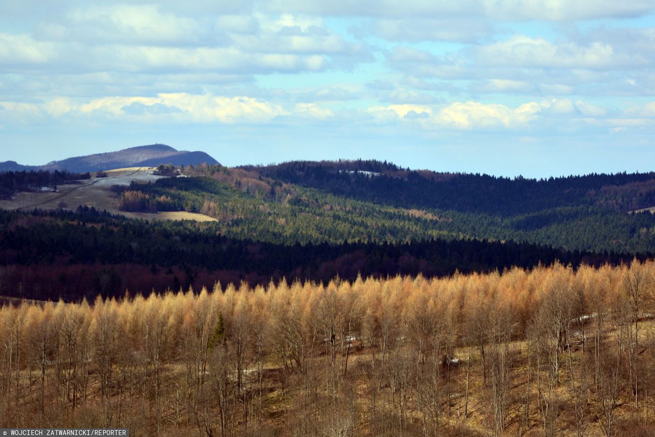 Nie Tatry, nie Bieszczady. To miejsce na południu Polski przyciąga turystów swoją dzikością