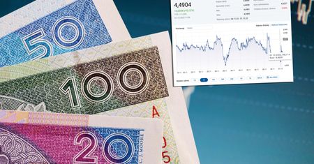 Dziki szał na rynkach finansowych. Oto co to oznacza dla kursu złotego