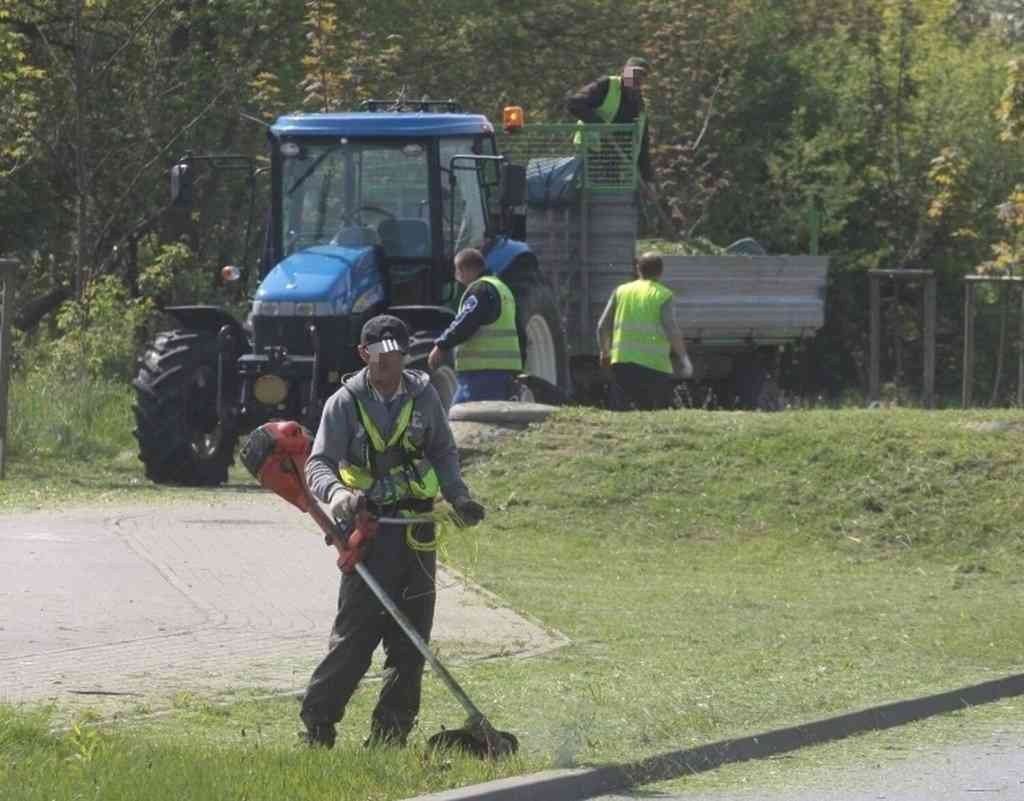 W powiecie świeckim samochód potrącił pracownika koszącego trawę