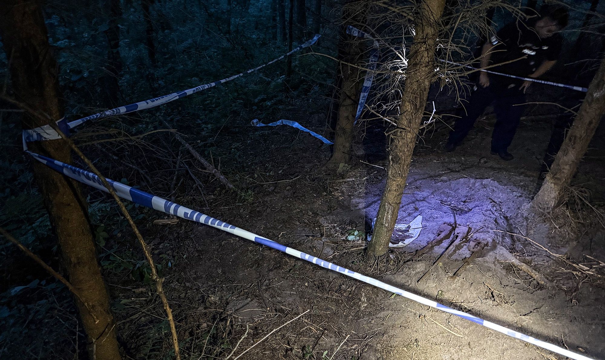 Znalezione karabiny w lesie pod Wyrzyskiem. 