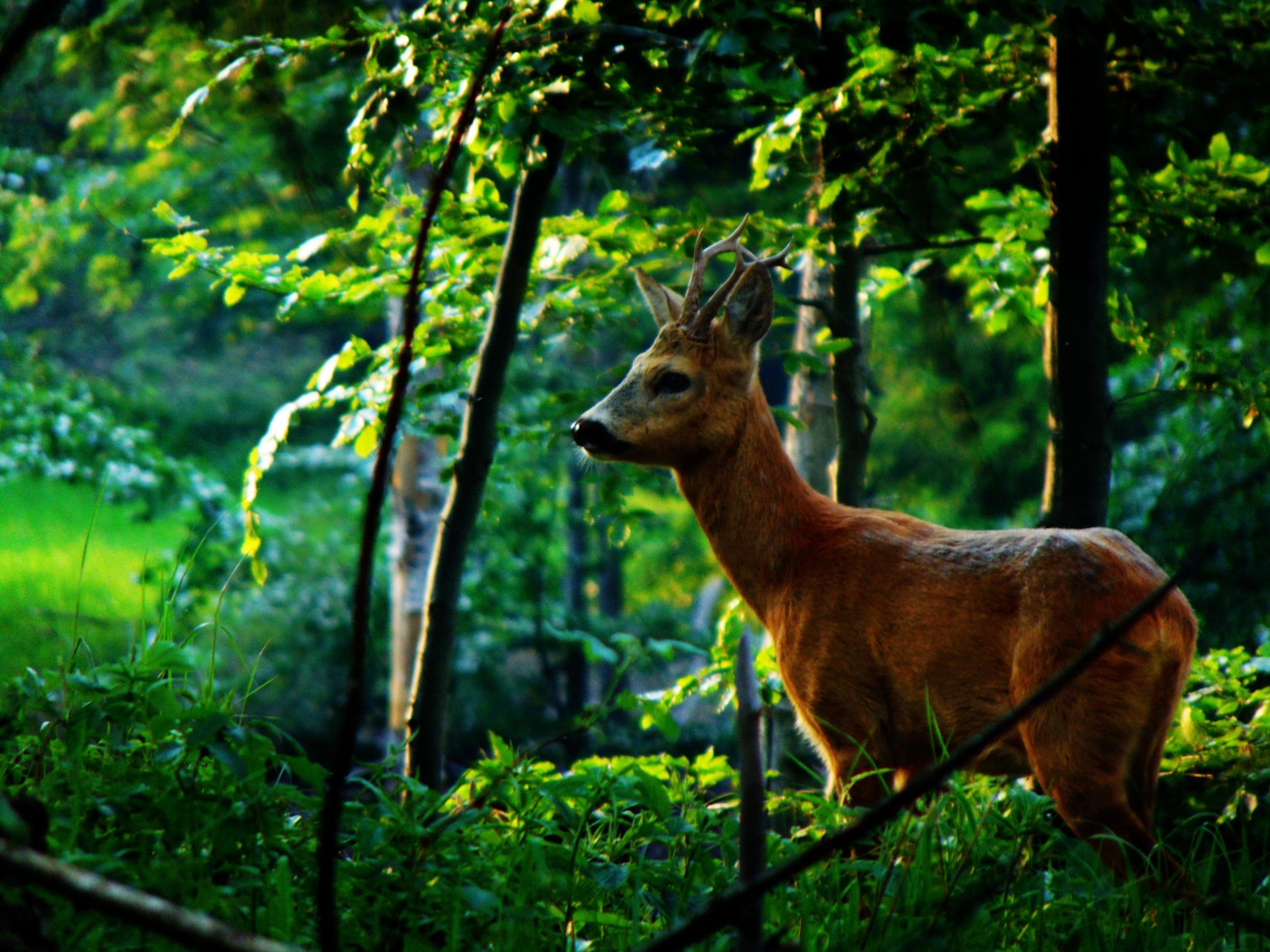 Zobacz najciekawsze z dotychczas zgłoszonych zdjęć w konkursie Sony World Photography Awards 2016 16
