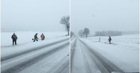 Internauci osłupieli na widok tych zdjęć. Zimowe koszenie trawy