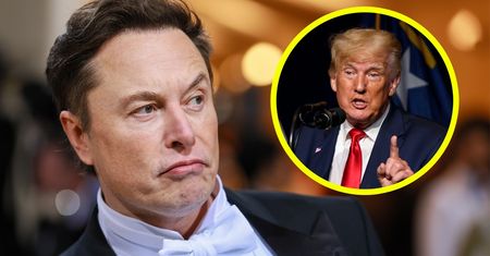 Elon Musk wkurzył Donalda Trumpa. "Nie miałem o tym pojęcia"