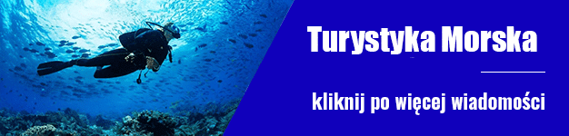 https://portalstoczniowy.pl/category/turystyka-morska/