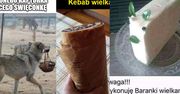 Wielkanocne memy, które rozbawią cię do łez. Padliśmy ze śmiechu