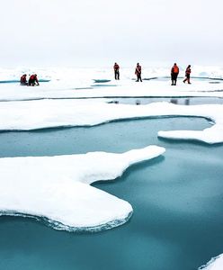 Dziewiczy lód płynie z Grenlandii do barów w Emiratach Arabskich