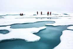 Dziewiczy lód płynie z Grenlandii do barów w Emiratach Arabskich