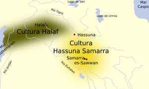 Matematyka sprzed 8 tysięcy lat. Ujawniono sekrety