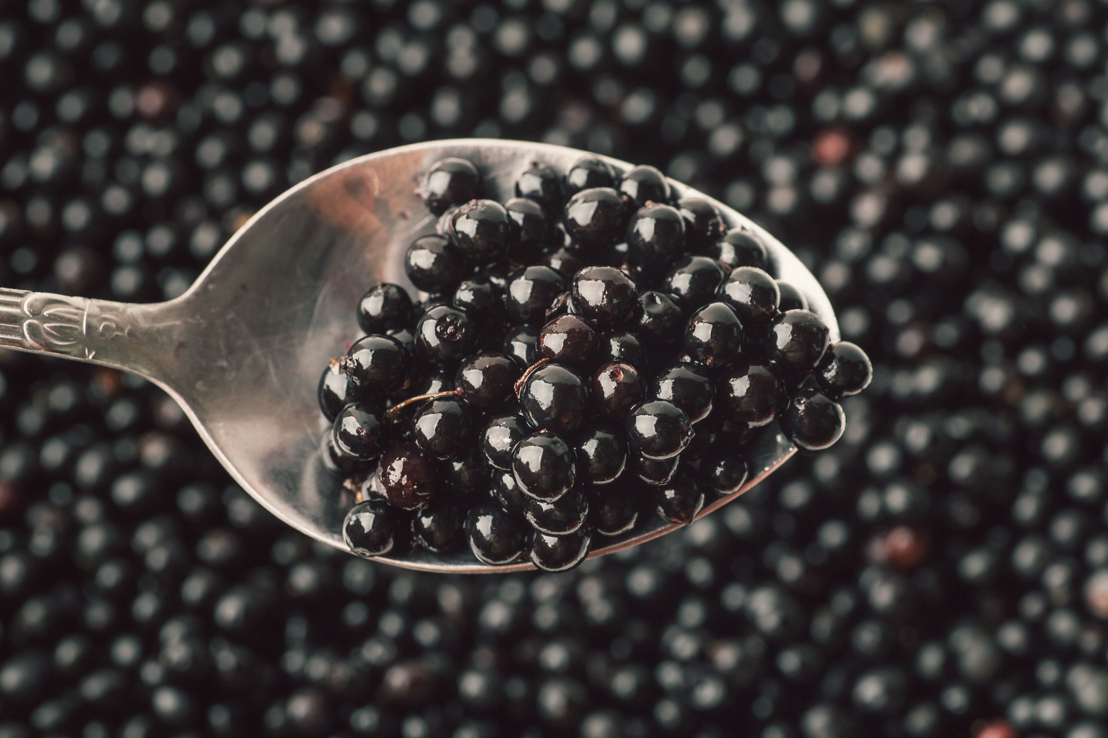 Czarny bez