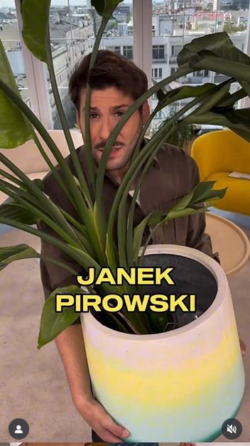 Małgorzata Tomaszewska i Jan Pirowski w "Dzień Dobry TVN"