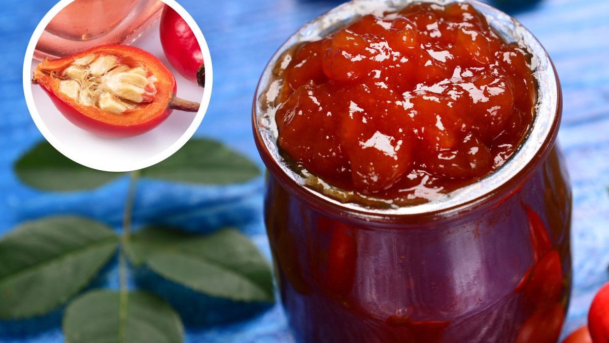 Dzika róża- Pyszności