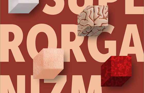 Peppermint autorem identyfikacji wizualnej Festiwalu Przemiany