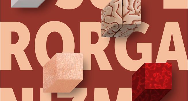 Peppermint autorem identyfikacji wizualnej Festiwalu Przemiany