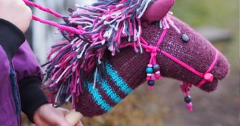Nietypowe zawody w powiecie płockim. Hobby Horse Grand Prix Mazowsza w Robertowie