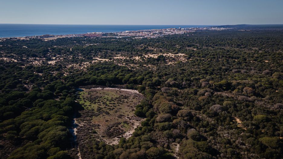 HUELVA, SPAIN - JANUARY 25: An aerial view of the Donana Natural Park in Huelva, Spain on January 25, 2023. Climate change and uncontrolled water extraction for intensive agriculture in the area, as well as to supply the surrounding towns, are among the causes of the drought in the nature reserve. (Photo by Adri Salido/Anadolu Agency via Getty Images)