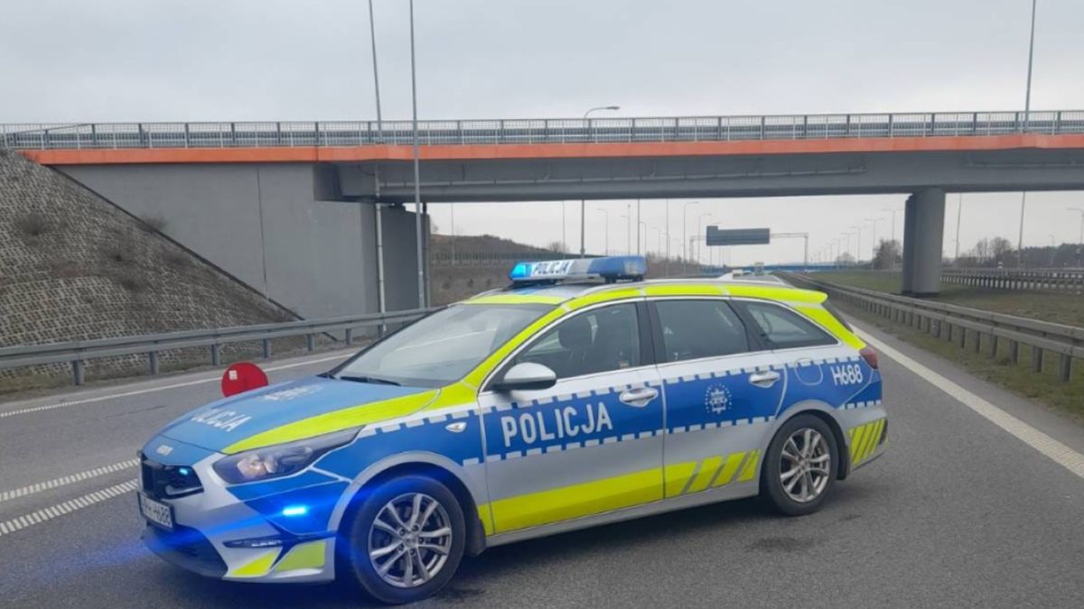 Nietypowa interwencja policji na drodze ekspresowej